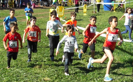 VII CROSS DE CASTEJON DE SOS